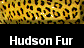  Hudson Fur 